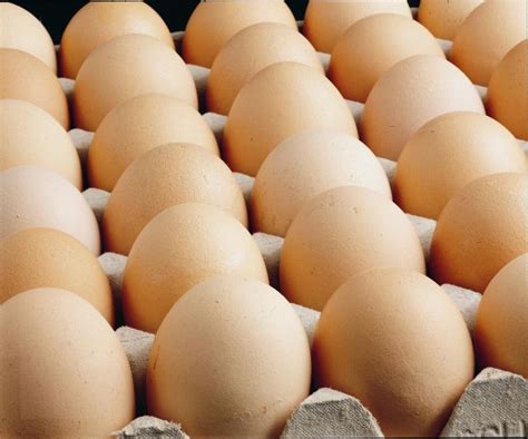 Toptan yumurta fiyatları istanbul